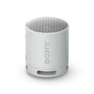 Sony SRS-XB100 - Enceinte sans Fil Bluetooth, Portable Gris
